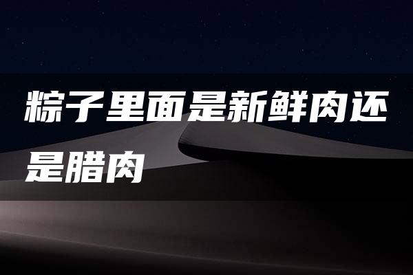 粽子里面是新鲜肉还是腊肉