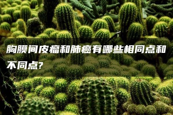 胸膜间皮瘤和肺癌有哪些相同点和不同点?