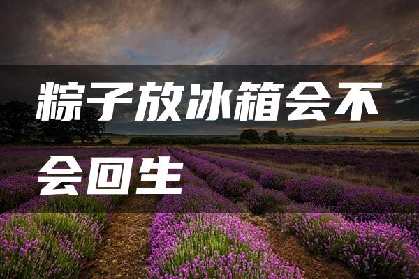 粽子放冰箱会不会回生