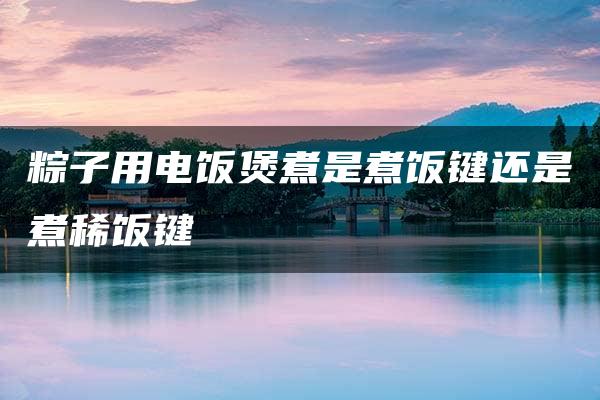 粽子用电饭煲煮是煮饭键还是煮稀饭键