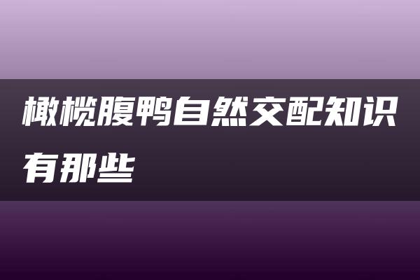 橄榄腹鸭自然交配知识有那些