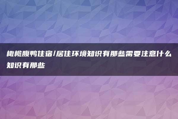 橄榄腹鸭住宿/居住环境知识有那些需要注意什么知识有那些