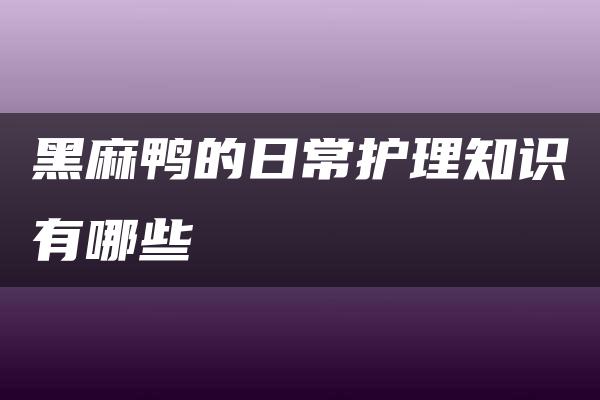 黑麻鸭的日常护理知识有哪些