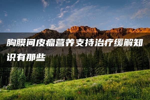 胸膜间皮瘤营养支持治疗缓解知识有那些