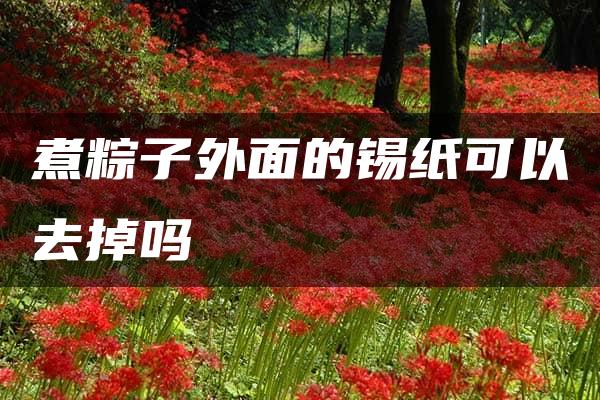 煮粽子外面的锡纸可以去掉吗