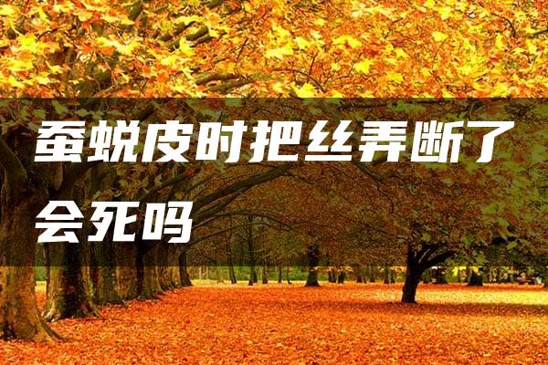 蚕蜕皮时把丝弄断了会死吗