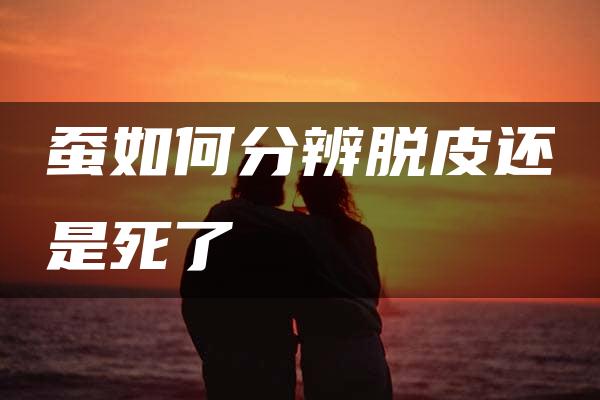 蚕如何分辨脱皮还是死了