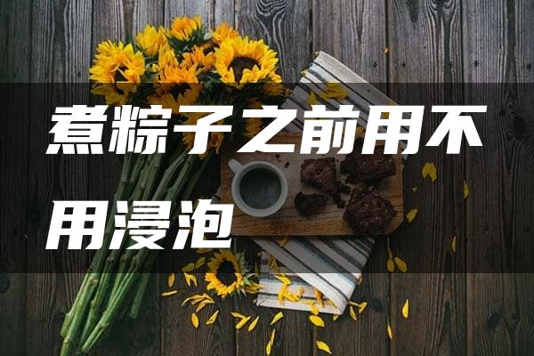 煮粽子之前用不用浸泡