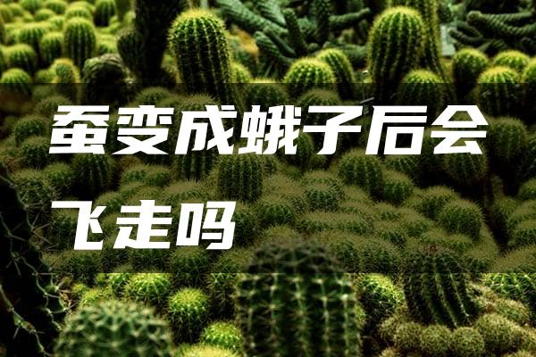 蚕变成蛾子后会飞走吗