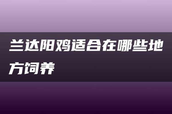 兰达阳鸡适合在哪些地方饲养