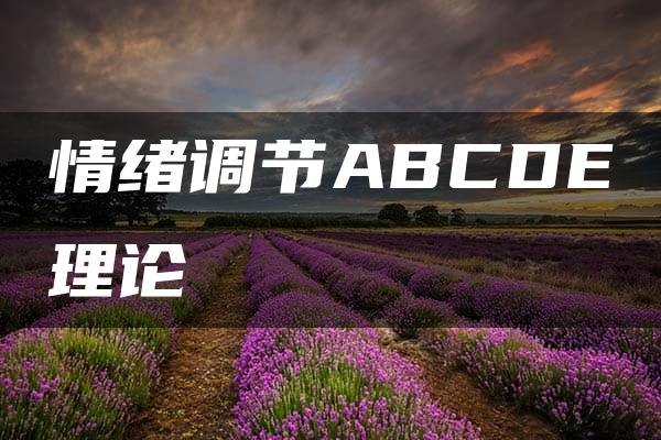 情绪调节ABCDE理论