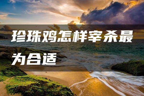 珍珠鸡怎样宰杀最为合适