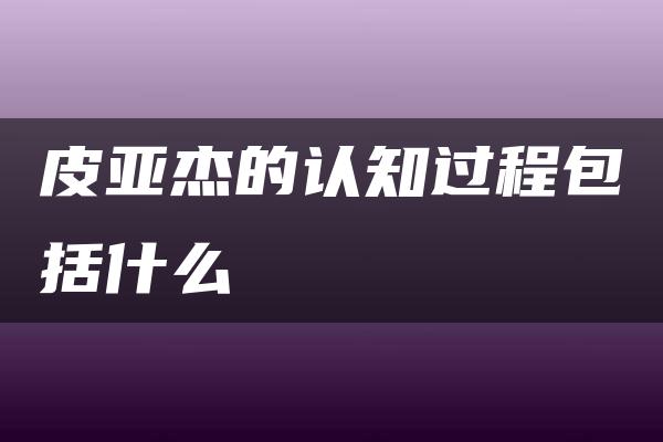 皮亚杰的认知过程包括什么