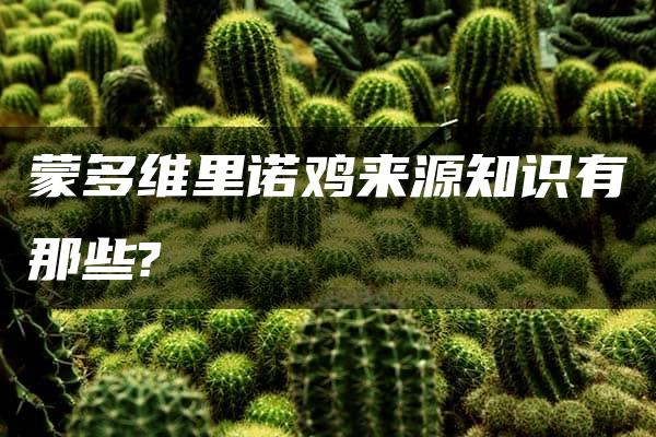 蒙多维里诺鸡来源知识有那些?