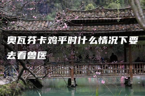 奥瓦芬卡鸡平时什么情况下要去看兽医