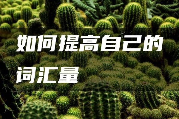 如何提高自己的词汇量