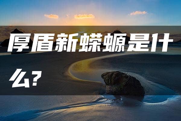 厚盾新蝾螈是什么?