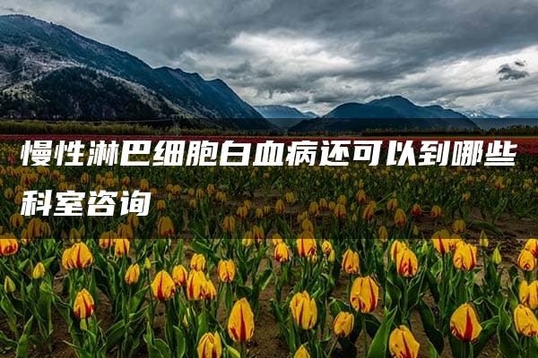 慢性淋巴细胞白血病还可以到哪些科室咨询