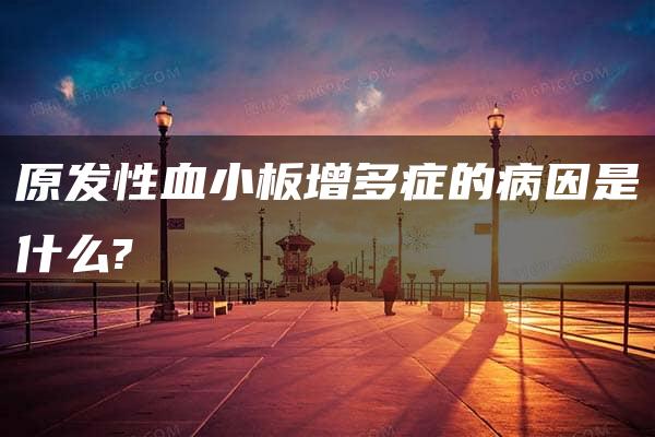 原发性血小板增多症的病因是什么?