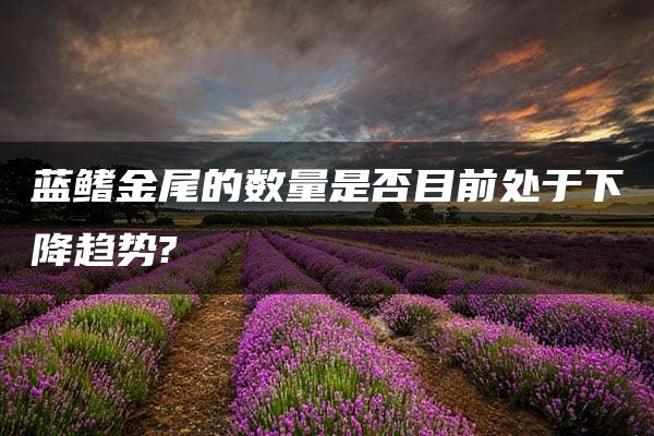 蓝鳍金尾的数量是否目前处于下降趋势?