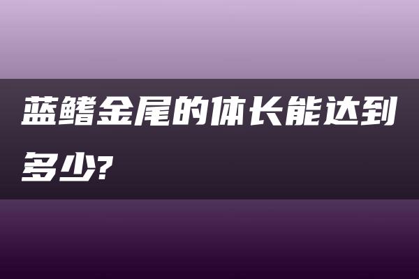 蓝鳍金尾的体长能达到多少?