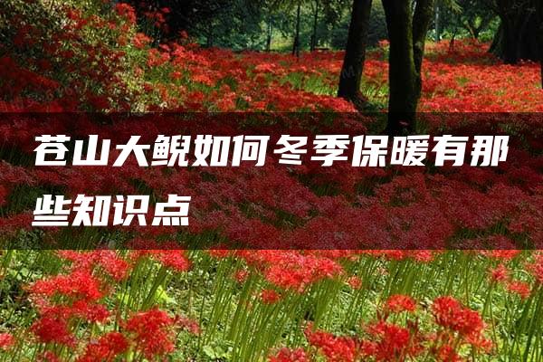 苍山大鲵如何冬季保暖有那些知识点