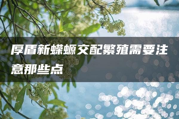 厚盾新蝾螈交配繁殖需要注意那些点