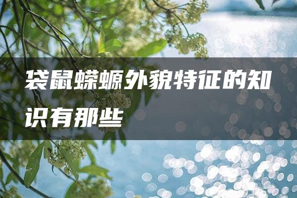 袋鼠蝾螈外貌特征的知识有那些