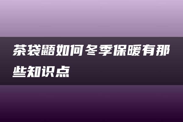 茶袋鼯如何冬季保暖有那些知识点