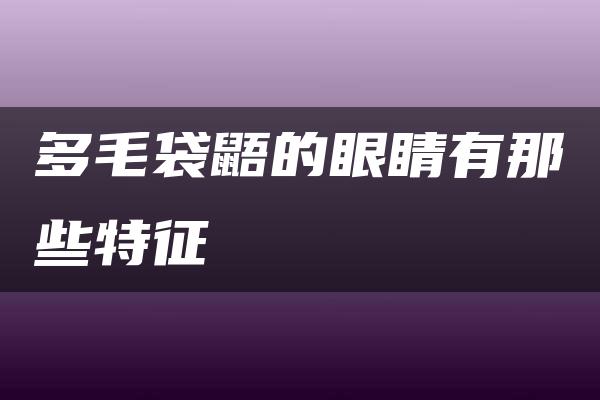 多毛袋鼯的眼睛有那些特征