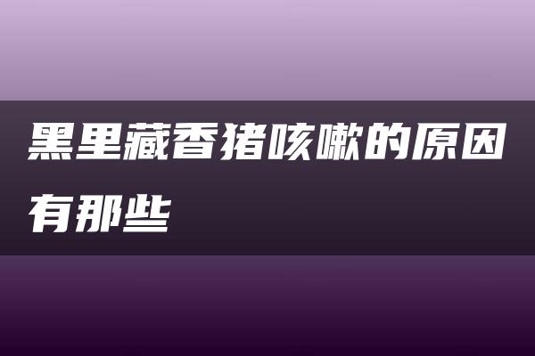 黑里藏香猪咳嗽的原因有那些