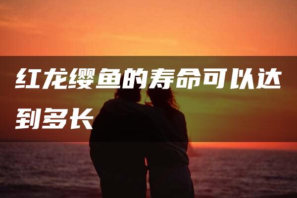 红龙缨鱼的寿命可以达到多长