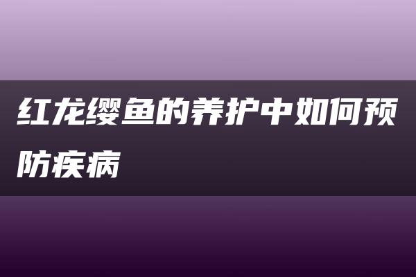 红龙缨鱼的养护中如何预防疾病