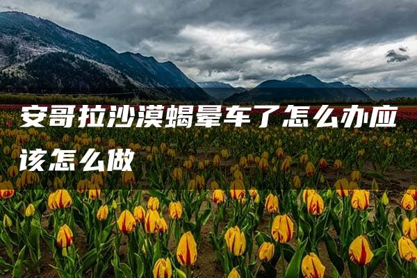 安哥拉沙漠蝎晕车了怎么办应该怎么做