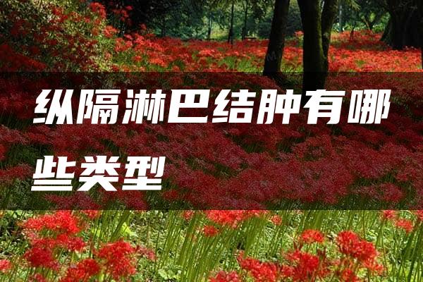 纵隔淋巴结肿有哪些类型