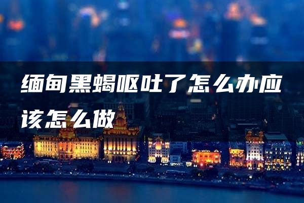 缅甸黑蝎呕吐了怎么办应该怎么做