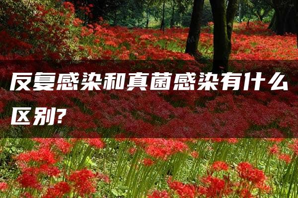 反复感染和真菌感染有什么区别?