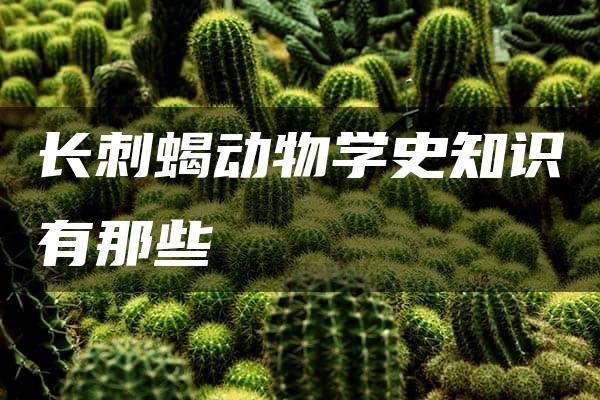 长刺蝎动物学史知识有那些