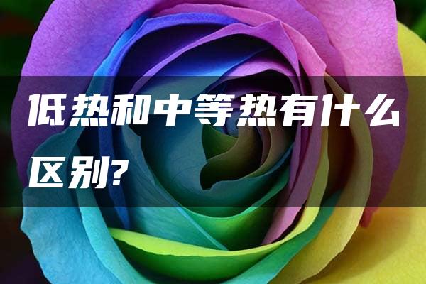 低热和中等热有什么区别?