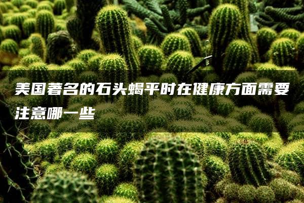 美国著名的石头蝎平时在健康方面需要注意哪一些