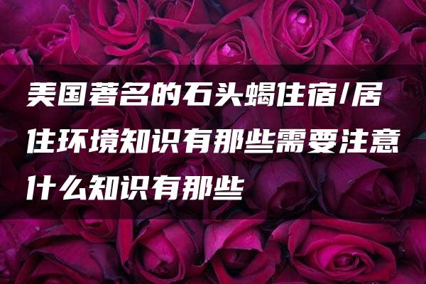 美国著名的石头蝎住宿/居住环境知识有那些需要注意什么知识有那些