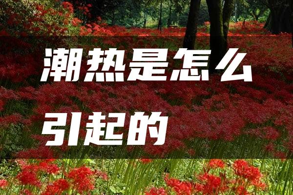 潮热是怎么引起的