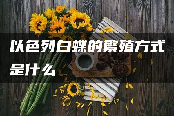 以色列白蝶的繁殖方式是什么