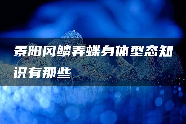 景阳冈鳞弄蝶身体型态知识有那些