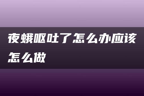 夜蛾呕吐了怎么办应该怎么做