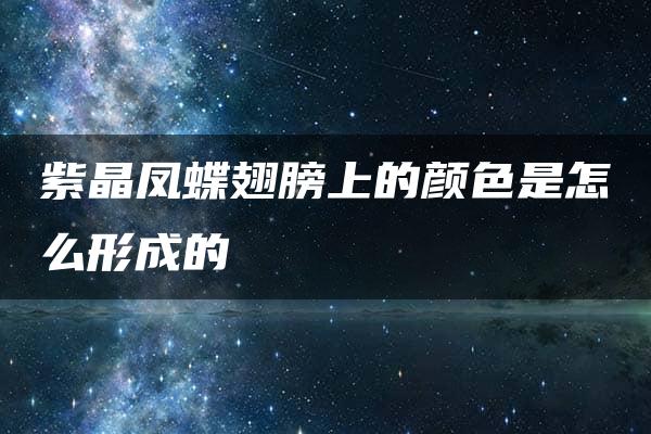 紫晶凤蝶翅膀上的颜色是怎么形成的