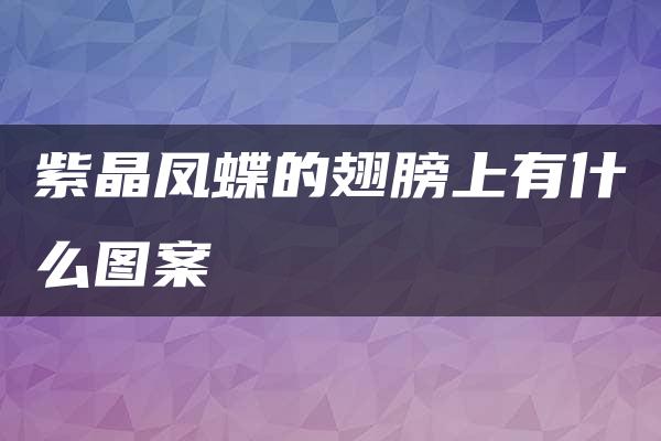 紫晶凤蝶的翅膀上有什么图案