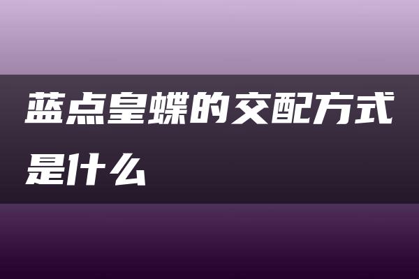 蓝点皇蝶的交配方式是什么