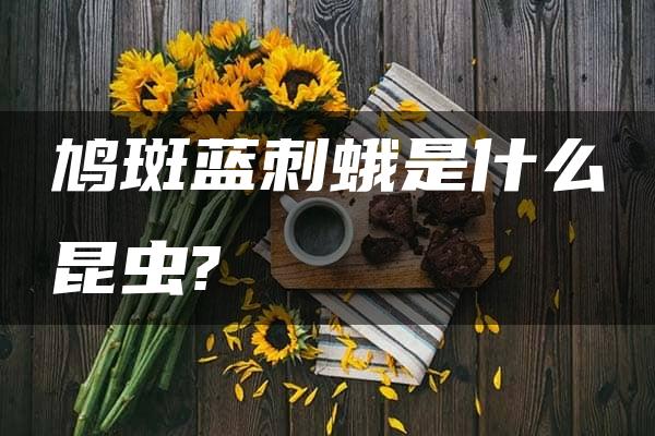 鸠斑蓝刺蛾是什么昆虫?