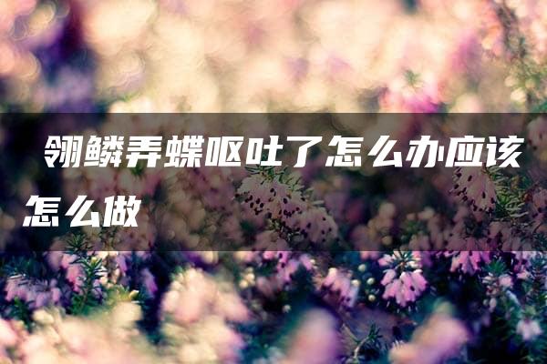 鹟翎鳞弄蝶呕吐了怎么办应该怎么做